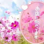 ヒメ日記 2026/07/14 17:05 投稿 柚木 松戸おかあさん
