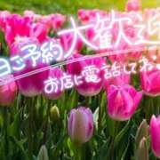 ヒメ日記 2026/07/20 09:27 投稿 柚木 松戸おかあさん