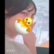 ヒメ日記 2026/09/07 12:16 投稿 ひよこ ドリーム水戸
