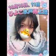 ヒメ日記 2026/09/14 09:09 投稿 ひよこ ドリーム水戸