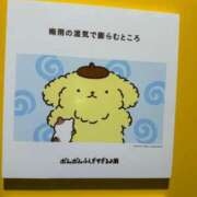 ヒメ日記 2026/08/06 19:16 投稿 あいり CUTE