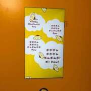 ヒメ日記 2026/09/09 08:16 投稿 あいり CUTE