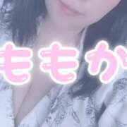 ヒメ日記 2026/07/13 00:12 投稿 ももか 千葉人妻花壇