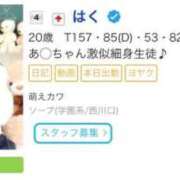 はく ⁉️ 萌えカワ