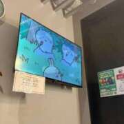 ヒメ日記 2026/08/06 20:18 投稿 はく 萌えカワ