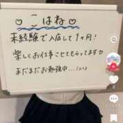 ヒメ日記 2026/08/09 13:21 投稿 こはね 桜色学園
