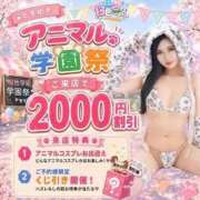 ヒメ日記 2026/08/29 11:47 投稿 こはね 桜色学園