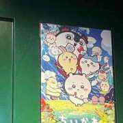 ヒメ日記 2026/09/23 14:21 投稿 こはね 桜色学園