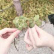 ヒメ日記 2026/10/08 14:31 投稿 こはね 桜色学園