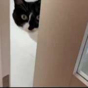 ヒメ日記 2026/08/14 20:07 投稿 あずさ エマニエル秋葉原