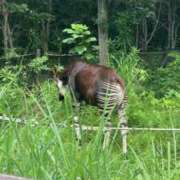 ヒメ日記 2026/07/11 16:54 投稿 柊-ひいらぎ MSC 妄想紳士倶楽部 鶯谷店