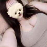 ヒメ日記 2026/08/20 12:03 投稿 おもち ぽっちゃり巨乳専門店ちゃんこ八王子店