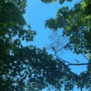 美咲　ひな 快晴☀️ 雅(みやび)