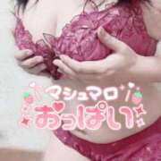 ヒメ日記 2026/07/13 10:20 投稿 きこ 風俗の神様　浜松店