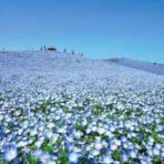 うめ おやすみもらいます… カルテDayShift