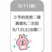 ヒメ日記 2026/09/12 02:35 投稿 れいな★清純派の純白ヒロイン★ 渋谷S級素人清楚系デリヘル chloe