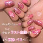ヒメ日記 2026/08/05 14:52 投稿 アリス【ありす】 ROSE（金沢）
