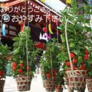 ヒメ日記 2026/07/15 22:59 投稿 草加(くさか) 鶯谷デッドボール
