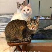 草加(くさか) １ヶ月経ち 鶯谷デッドボール