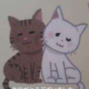 ヒメ日記 2026/08/12 22:59 投稿 草加(くさか) 鶯谷デッドボール