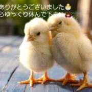 ヒメ日記 2026/08/15 21:29 投稿 草加(くさか) 鶯谷デッドボール