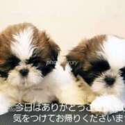 ヒメ日記 2026/08/16 20:59 投稿 草加(くさか) 鶯谷デッドボール