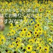 ヒメ日記 2026/08/20 23:29 投稿 草加(くさか) 鶯谷デッドボール
