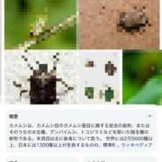 ヒメ日記 2026/09/18 11:50 投稿 九条　えま 現役ナースが精液採取に伺います 梅田店
