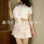 ヒメ日記 2026/07/23 06:29 投稿 すい 松戸角海老根本店