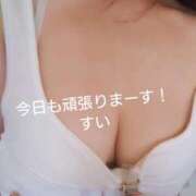 ヒメ日記 2026/09/14 15:17 投稿 すい 松戸角海老根本店
