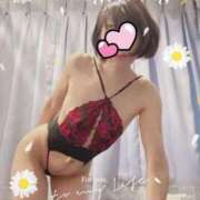 きょうこさん 🌸ハリネズミ🌸 いけない奥さん 十三店