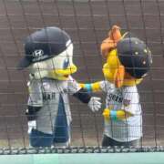 ヒメ日記 2026/09/06 10:47 投稿 ねいろ ベイキュート