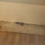 ヒメ日記 2026/08/11 18:29 投稿 まりる サティアンまーと