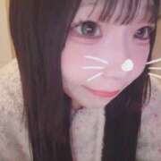 ☆ふう☆ 次24時30分〜🈳 ◆プラウディア◆AAA級素人娘在籍店
