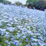 ヒメ日記 2026/08/20 01:46 投稿 花村 あい 妄想する女学生たち 梅田校