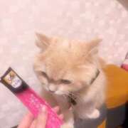 牧瀬 紅莉栖 ありがとうございました♡ Cawaiiハイ！スクールリターンズ