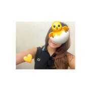 せいら 出勤しました♡ 横浜人妻花壇本店