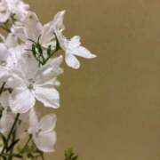 夏目　うたは お礼 エテルナ京都
