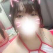 かすみ 猫ちゃん🐱 鎌倉御殿 新館