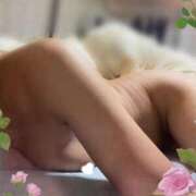 ヒメ日記 2026/07/20 20:02 投稿 みさき 成田人妻花壇