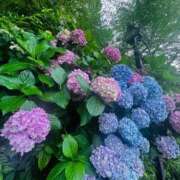 ヒメ日記 2026/06/27 21:31 投稿 三田よしみ MADAM