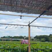 ヒメ日記 2026/07/08 11:46 投稿 三田よしみ MADAM