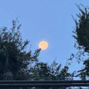 ヒメ日記 2026/08/01 05:16 投稿 三田よしみ MADAM
