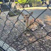 ヒメ日記 2026/08/12 19:17 投稿 三田よしみ MADAM