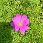 ヒメ日記 2026/08/18 05:31 投稿 三田よしみ MADAM