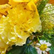 ヒメ日記 2026/09/01 17:46 投稿 三田よしみ MADAM