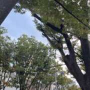 ヒメ日記 2026/10/04 21:31 投稿 三田よしみ MADAM