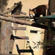 ヒメ日記 2026/10/07 05:16 投稿 三田よしみ MADAM