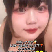 ヒメ日記 2026/10/14 11:29 投稿 あかり☆喉奥×潮吹き☆ ぴゅあぱい熊本♡ぽちゃかわ巨乳専門♡誠実すぎる風俗♡返金保証店♡