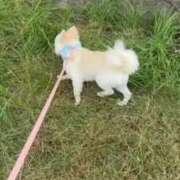 ヒメ日記 2026/08/18 16:11 投稿 星降キラリ・専属単体AV Muteki Platinum